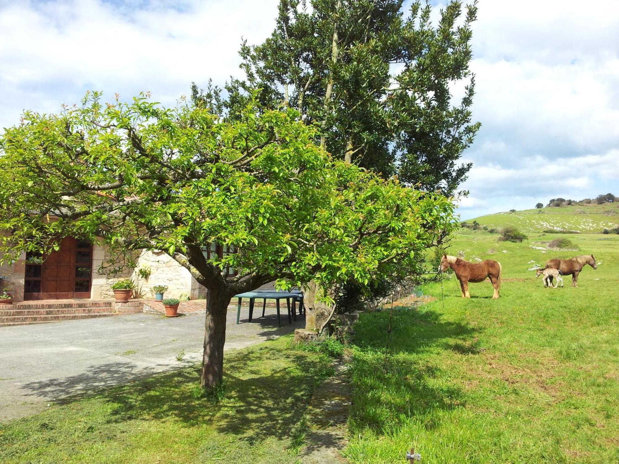 Posada La Roblera Guest House Orena Exterior photo